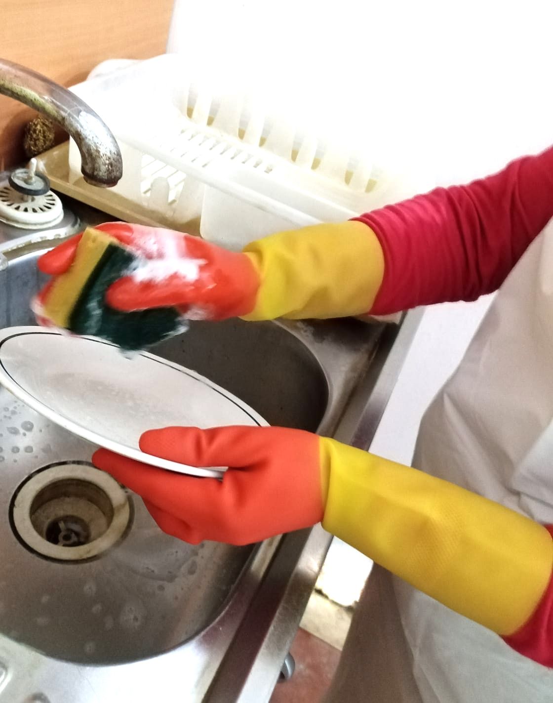 Guantes de látex para uso alimentario: por qué la higiene importa